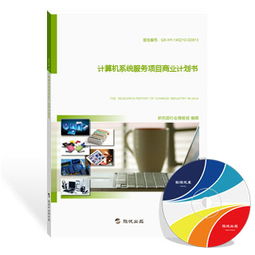 計算機系統服務項目商業計劃書